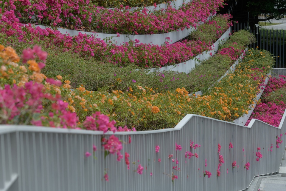 深圳无界花园丨中国深圳丨大小景观-55