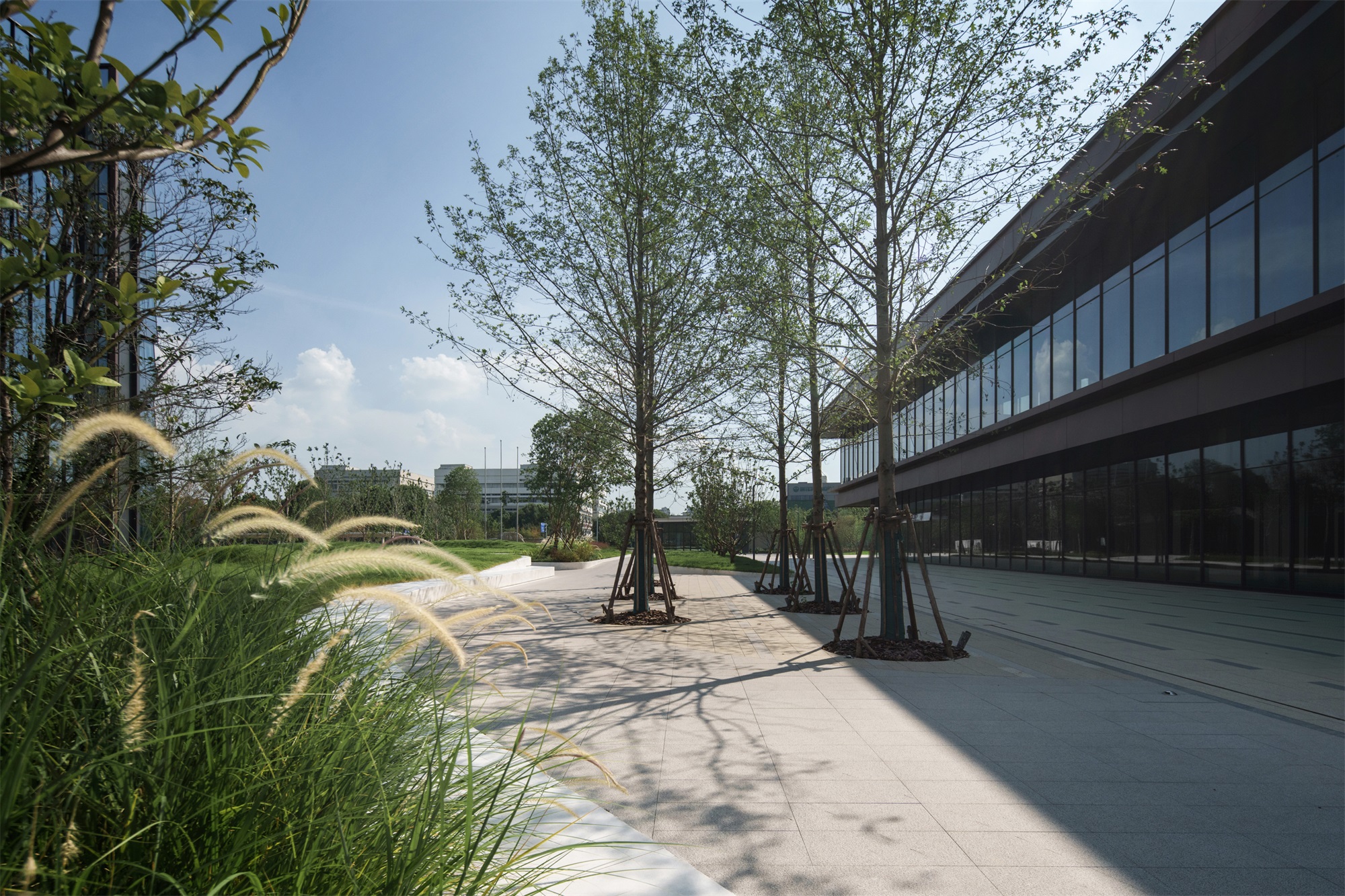 常州合全药业研发园区景观设计丨中国常州丨易栖建筑,E7 ARCHITECTS-62