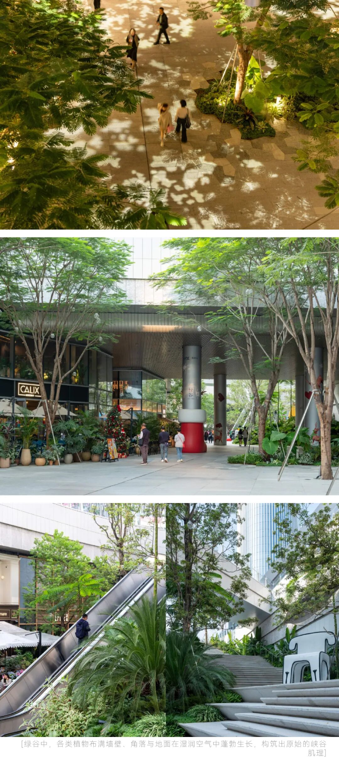 深圳湾万象城二期 丨中国广东深圳丨iPD澳洲艺普得-10