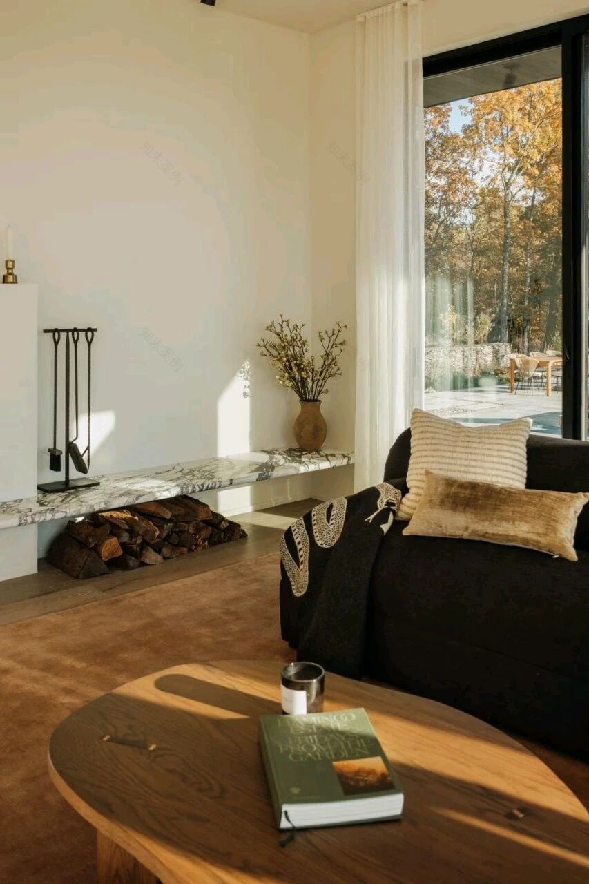 扭脊住宅(Twisted Ridge)丨美国-17