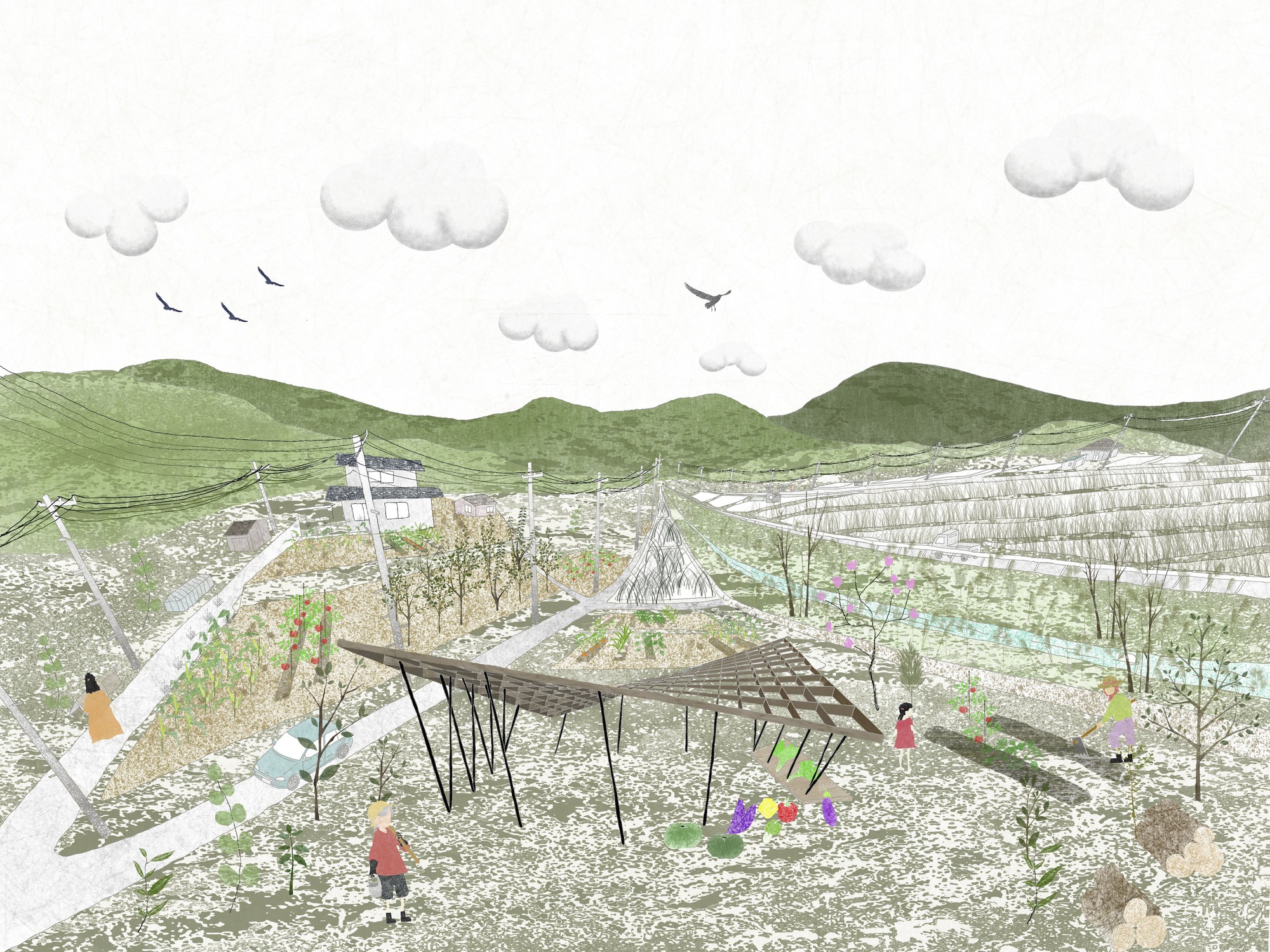 哈扎马乔宅邸丨日本丨Tatsuya Kawamoto + Associates-19