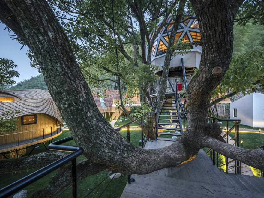 乡伴余姚树蛙部落——自然与设计的完美融合-10