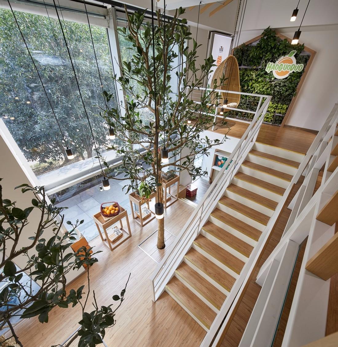 种果树的水果店-30