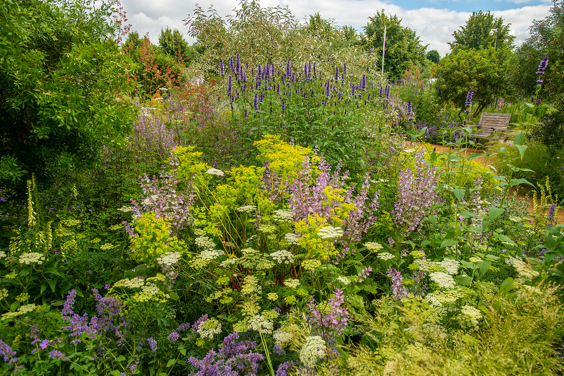 Hampton Court 2021-6