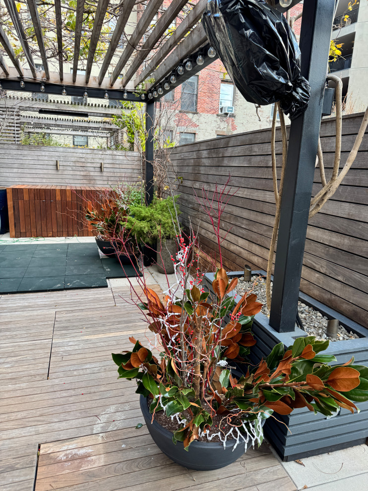 Williamsburg terrace-12