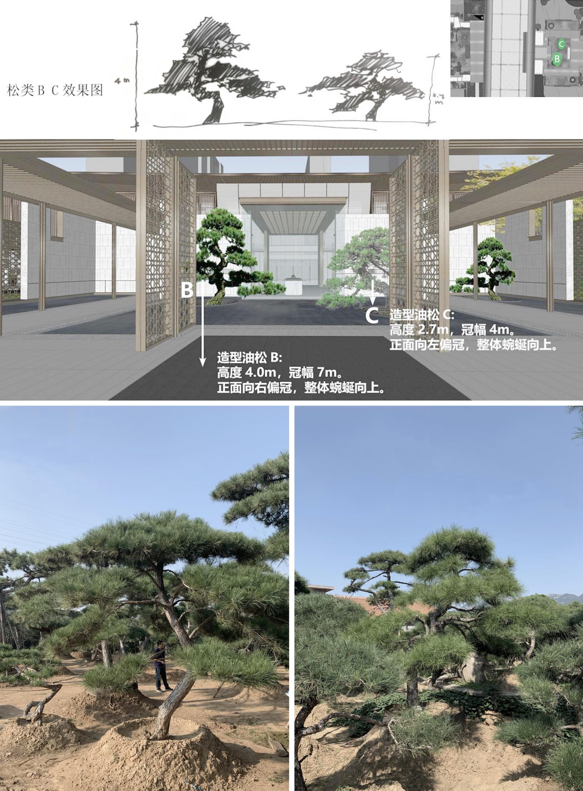 府园礼进 · 致敬东第丨中国沈阳-45