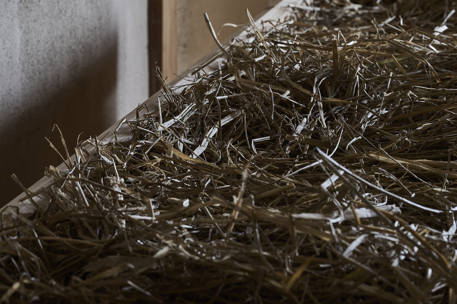 SHINPAKU·民宿丨日本丨Hitotomori建筑设计事务所-43