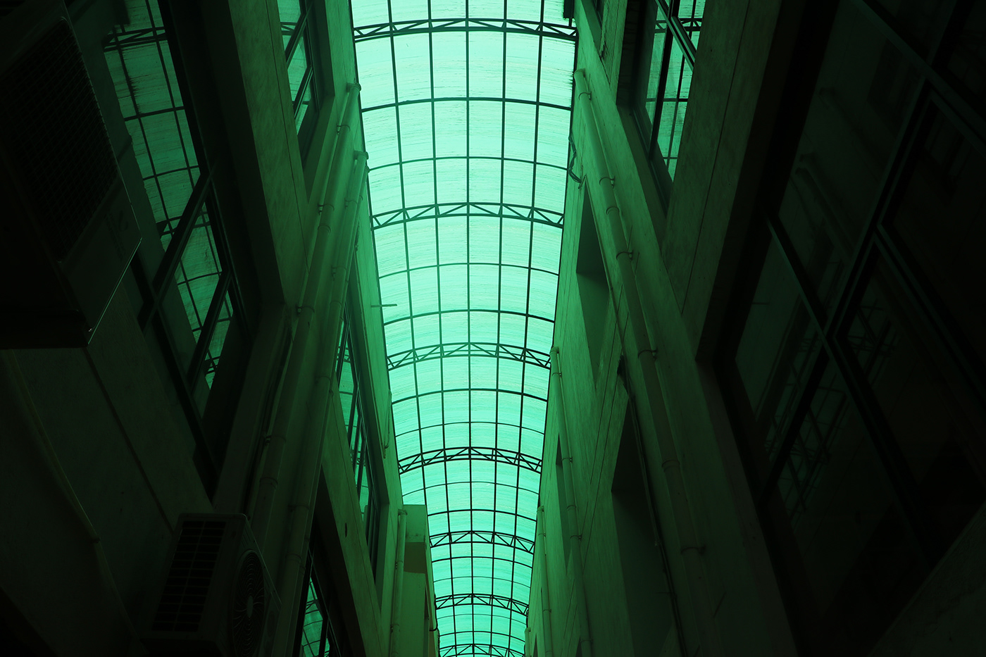 自然韵律 · 探索图案之美-6