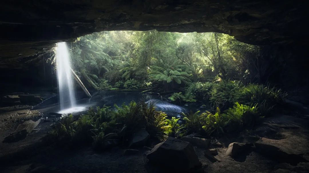遁入自然雨林，尊享艺术奢境 | 上海后滩总部大厦屋顶花园-8