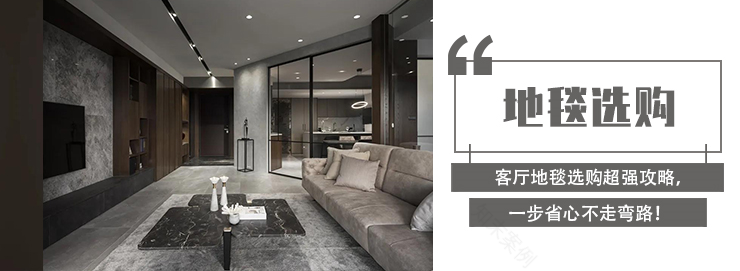 开门见厅户型化解方案-75