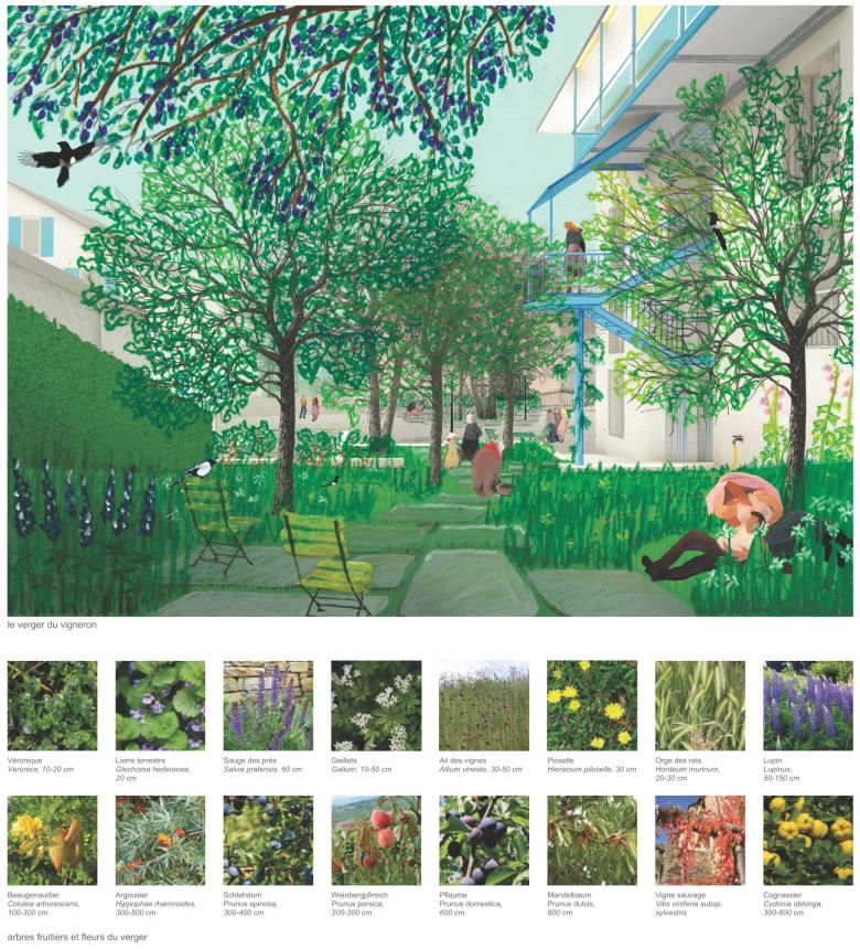 Grand' Rue 住宅与花园丨瑞士丨DGJ Paysages-9