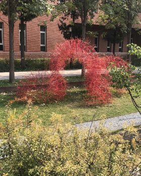 丹岩丨中国北京丨北京林业大学