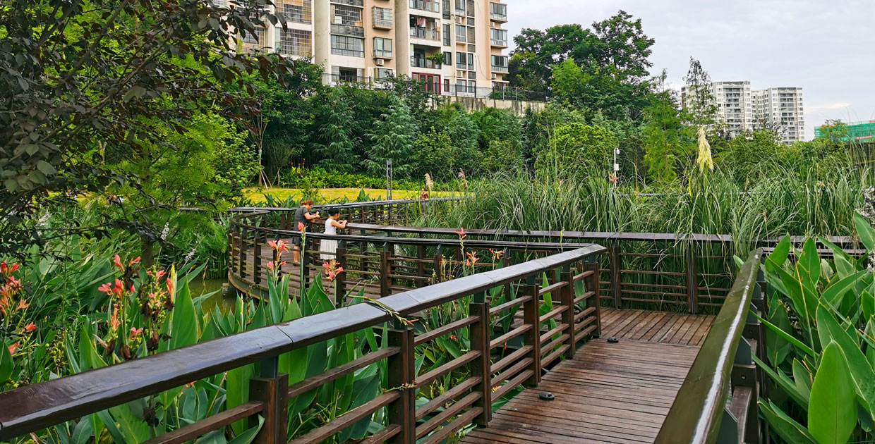 潼南人民生态公园-13