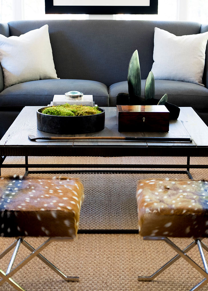 乡村周末小屋的优雅室内设计-10