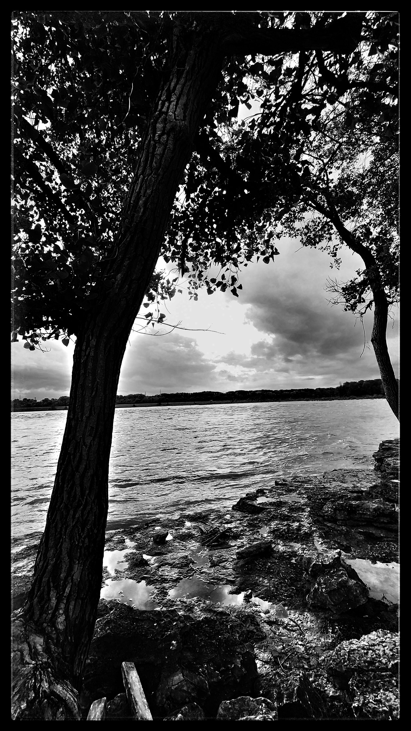 Random Black and White-7