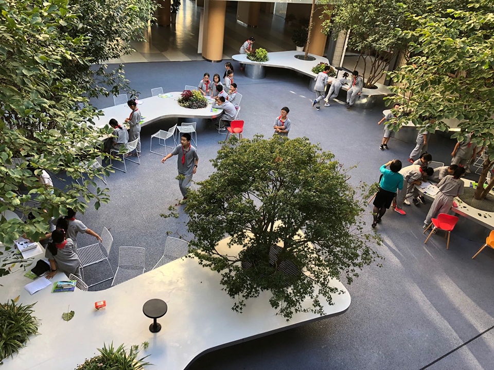 上海市实验学校中心庭院改造丨大观(上海大观景观设计有限公司)-46