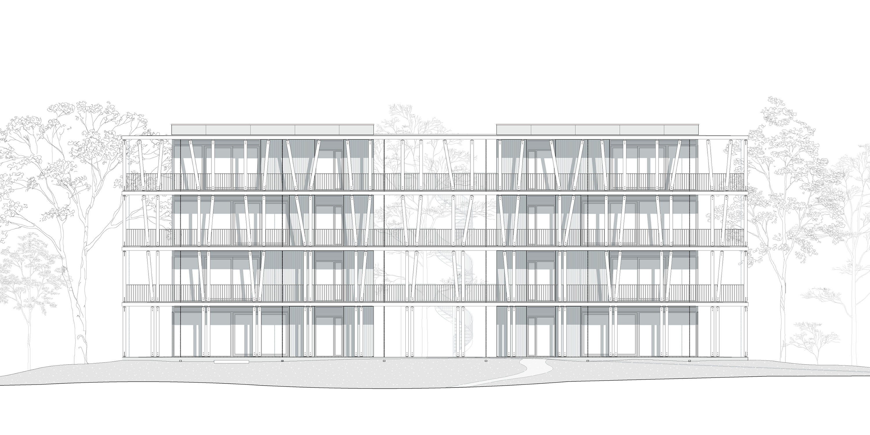 荷兰“森林浴场”住宅 / GAAGA-34