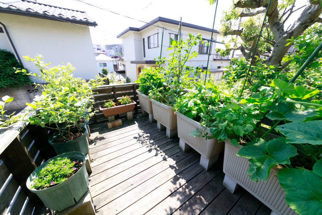 中庭はもうひとつの部屋日々の小さな変化を愉しむ自然の恵みで豊かな生活 | Outdoor | 100%LiFE-18