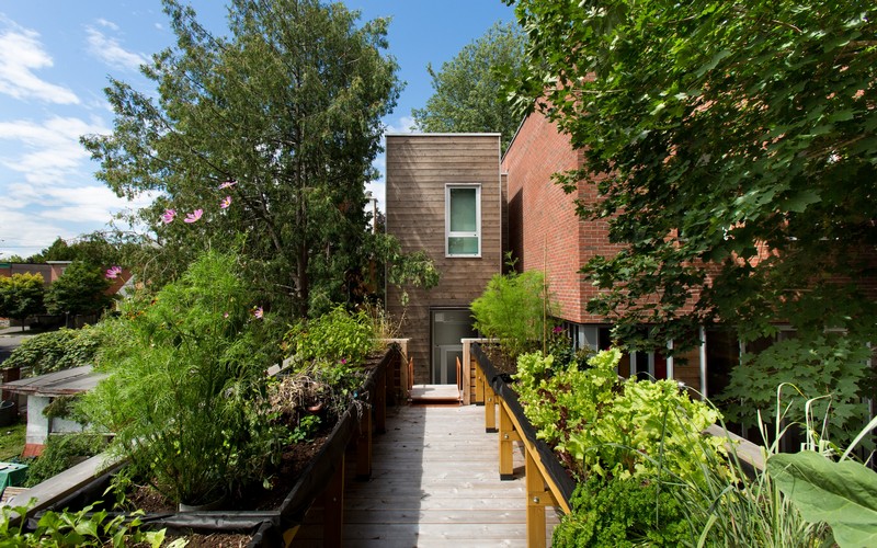 渥太华“直率住宅”-6