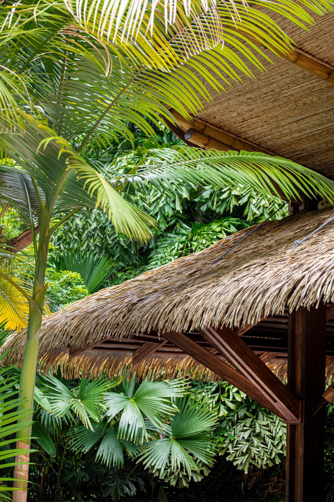 Aguas Claras酒店餐厅和瑜伽馆丨哥斯达黎加丨Studio Saxe-87