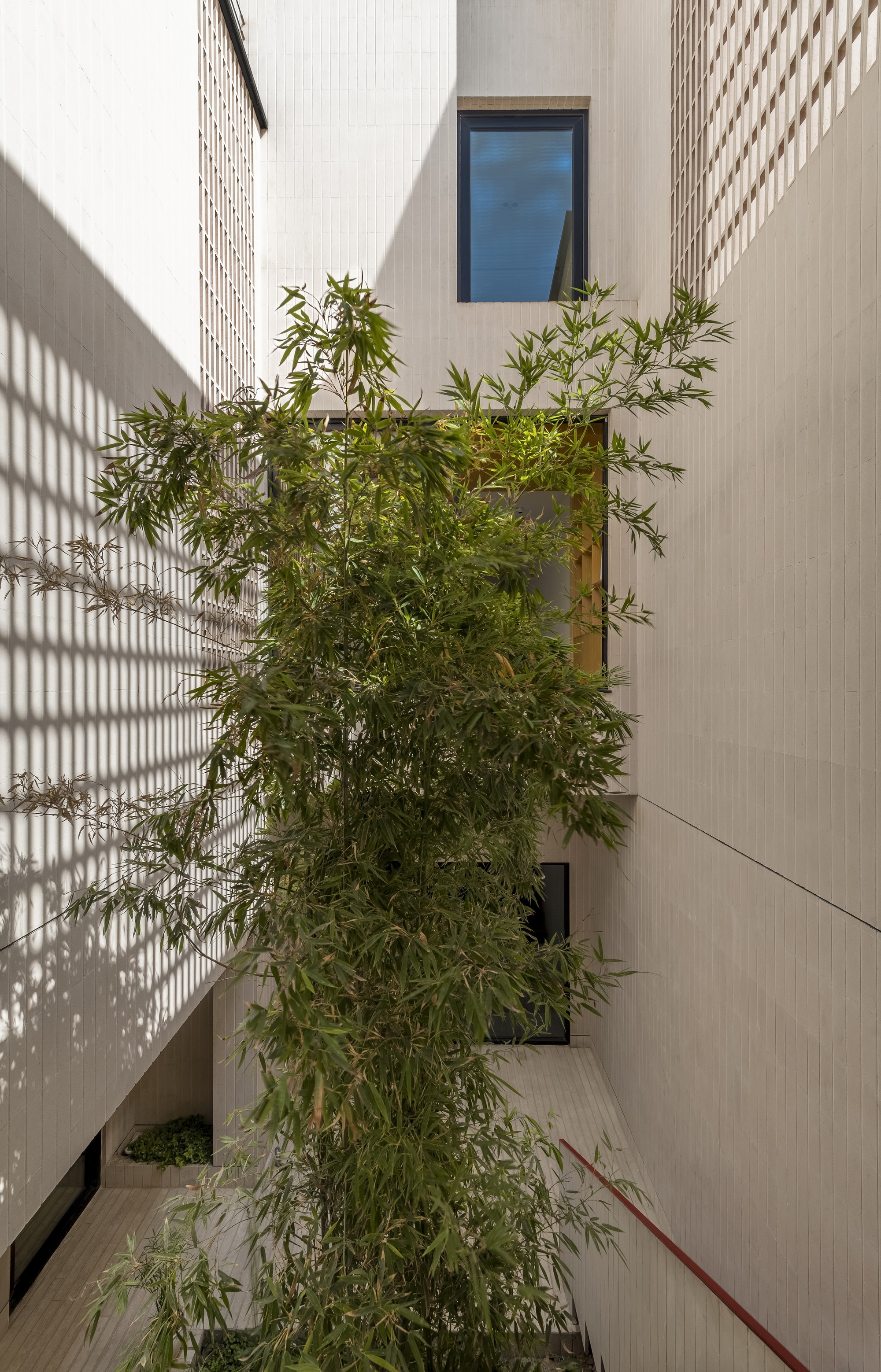 巴格博尔吉住宅丨伊朗丨BA Studio-55