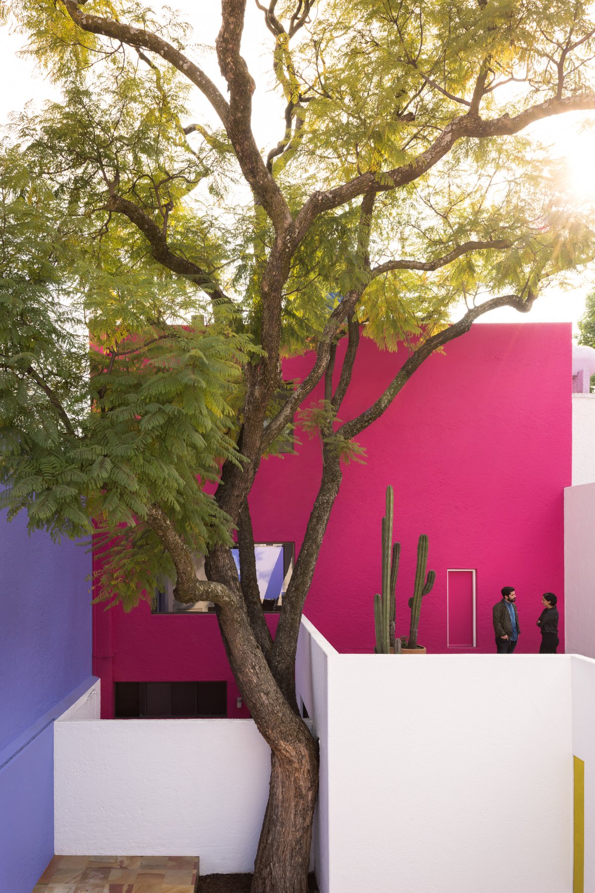 Casa Gilardi 住宅丨Luis Barragan-2