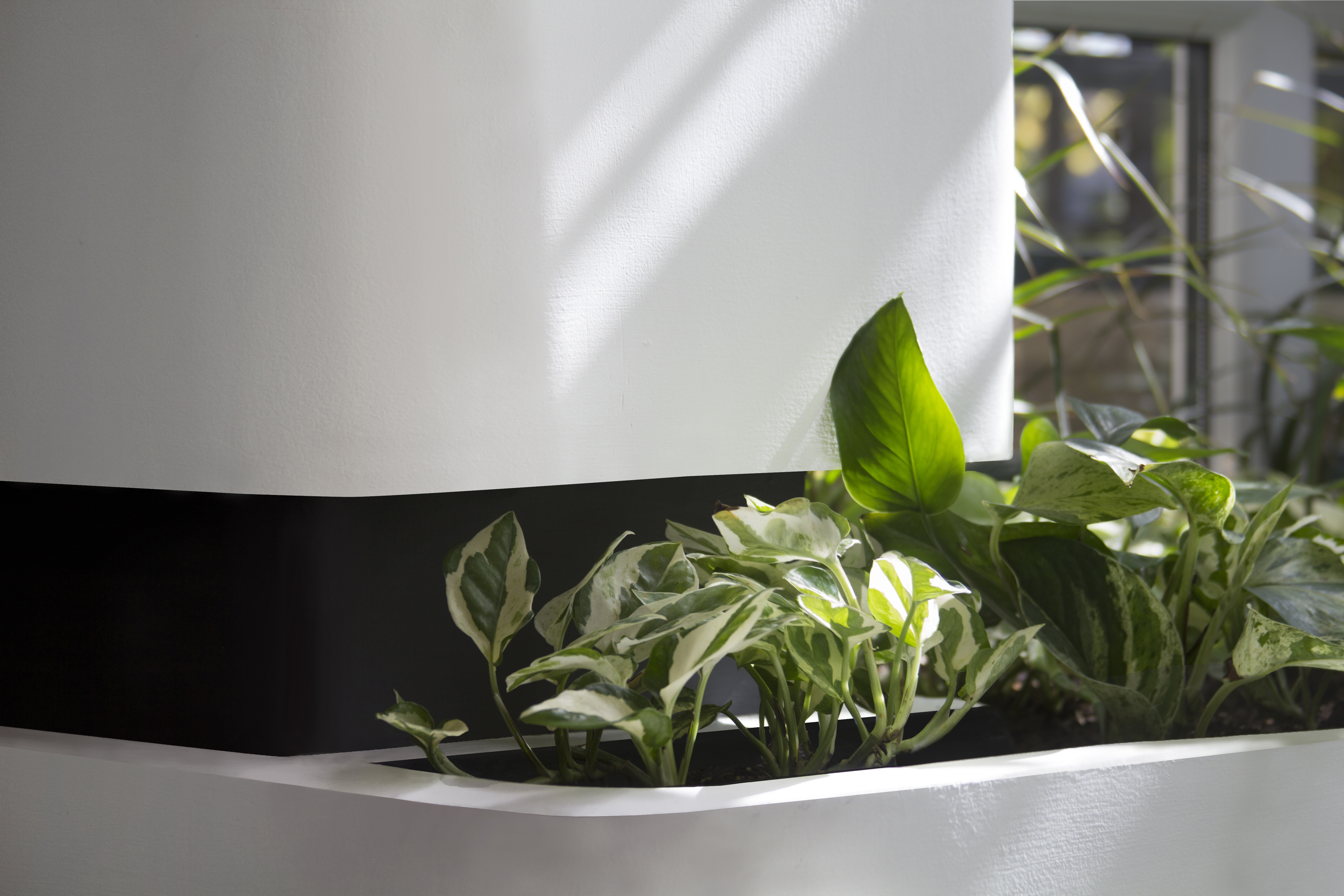 平衡工作与生活，打造多功能会议空间-22