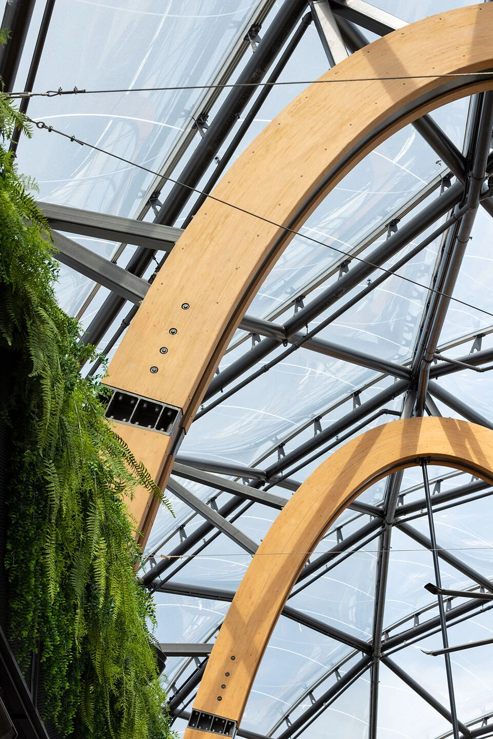 植物园巷丨新西兰奥克兰丨Ignite Architects-18