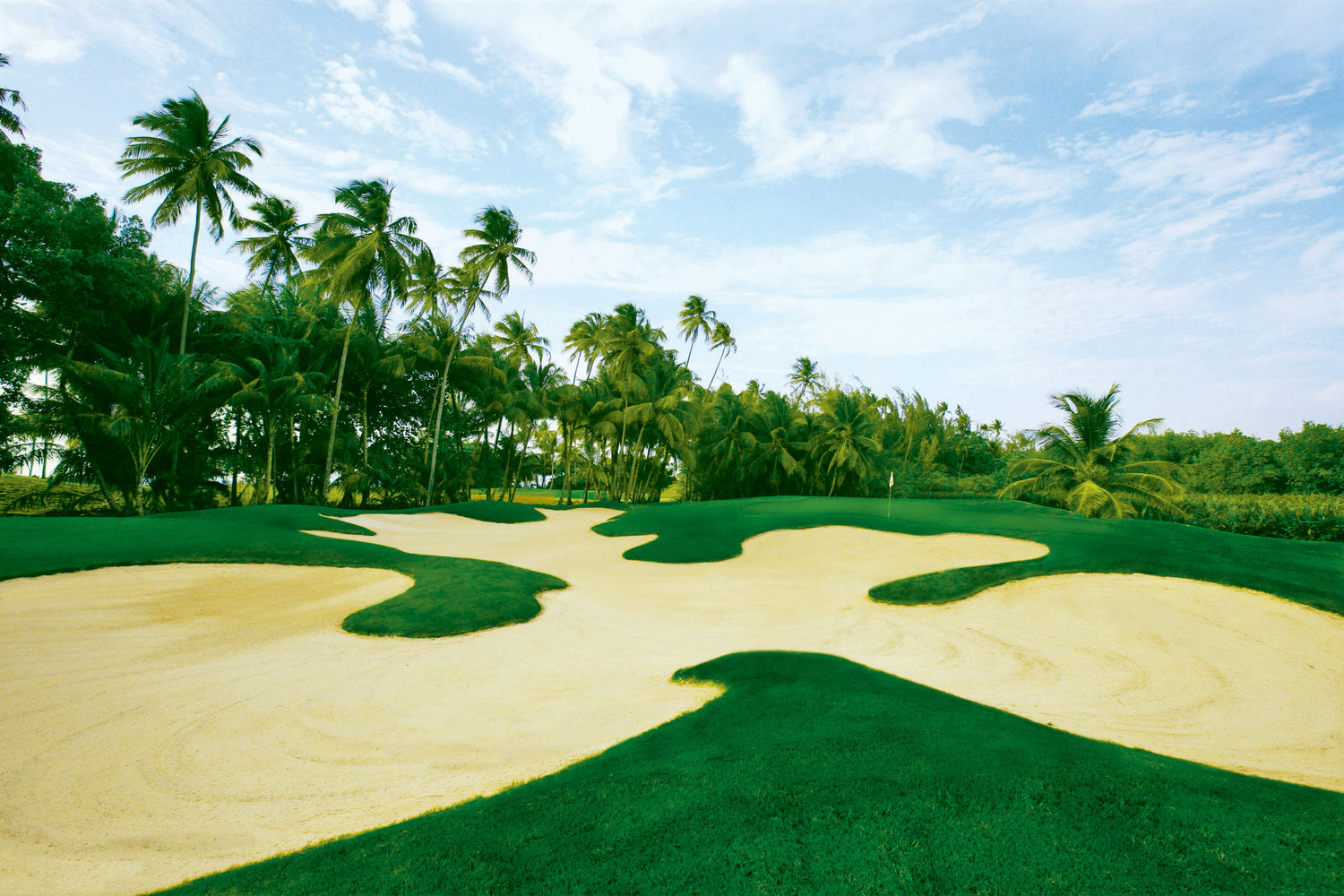 St  Regis Bahia Beach Resort, Puerto Rico, Rio Grande, Puerto Rico-9