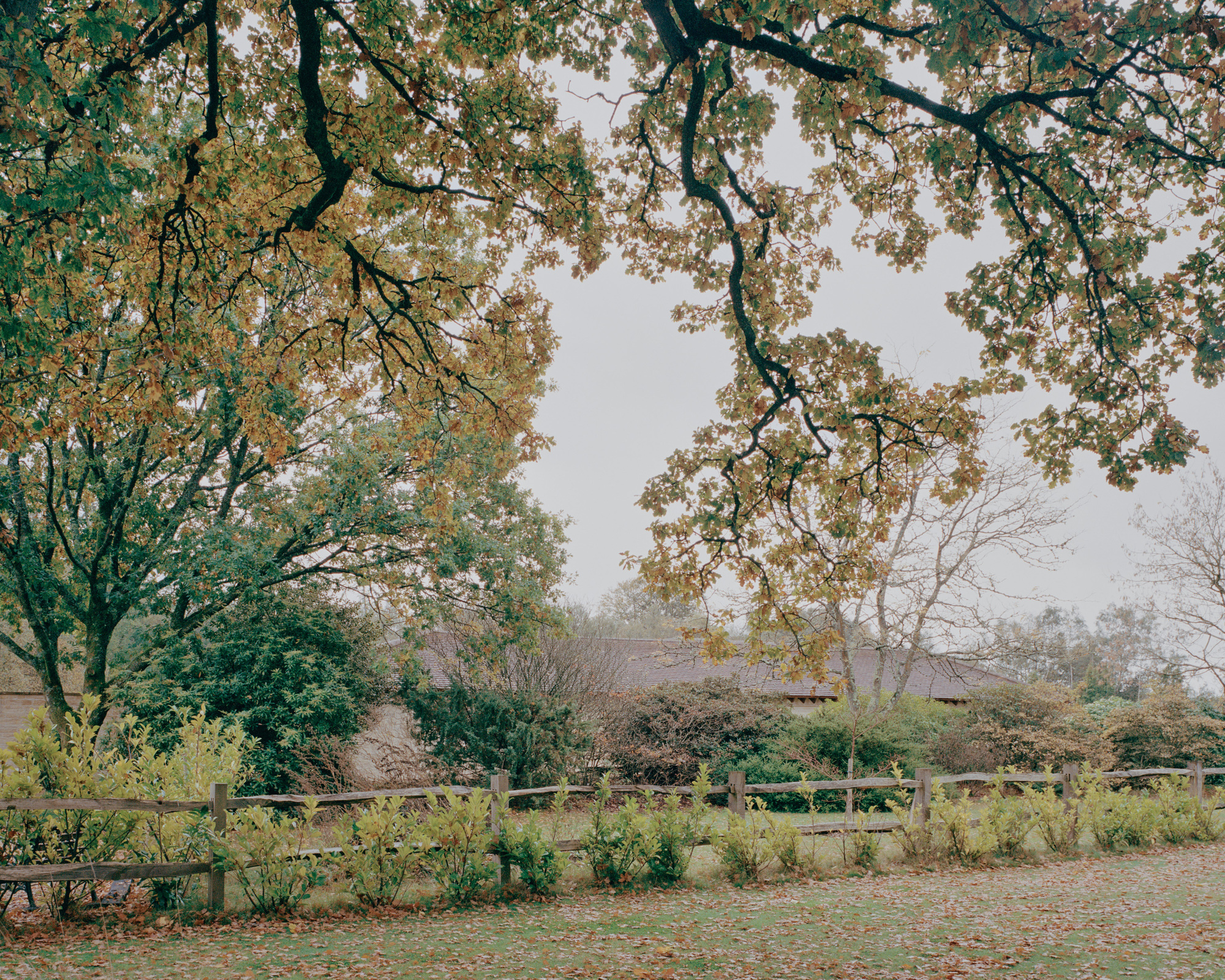 偷听屋丨英国丨Tom Dowdall Architects-39