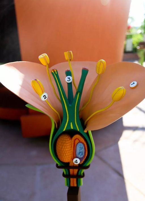 儿童亲子互动公园这样设计，真精彩！-49