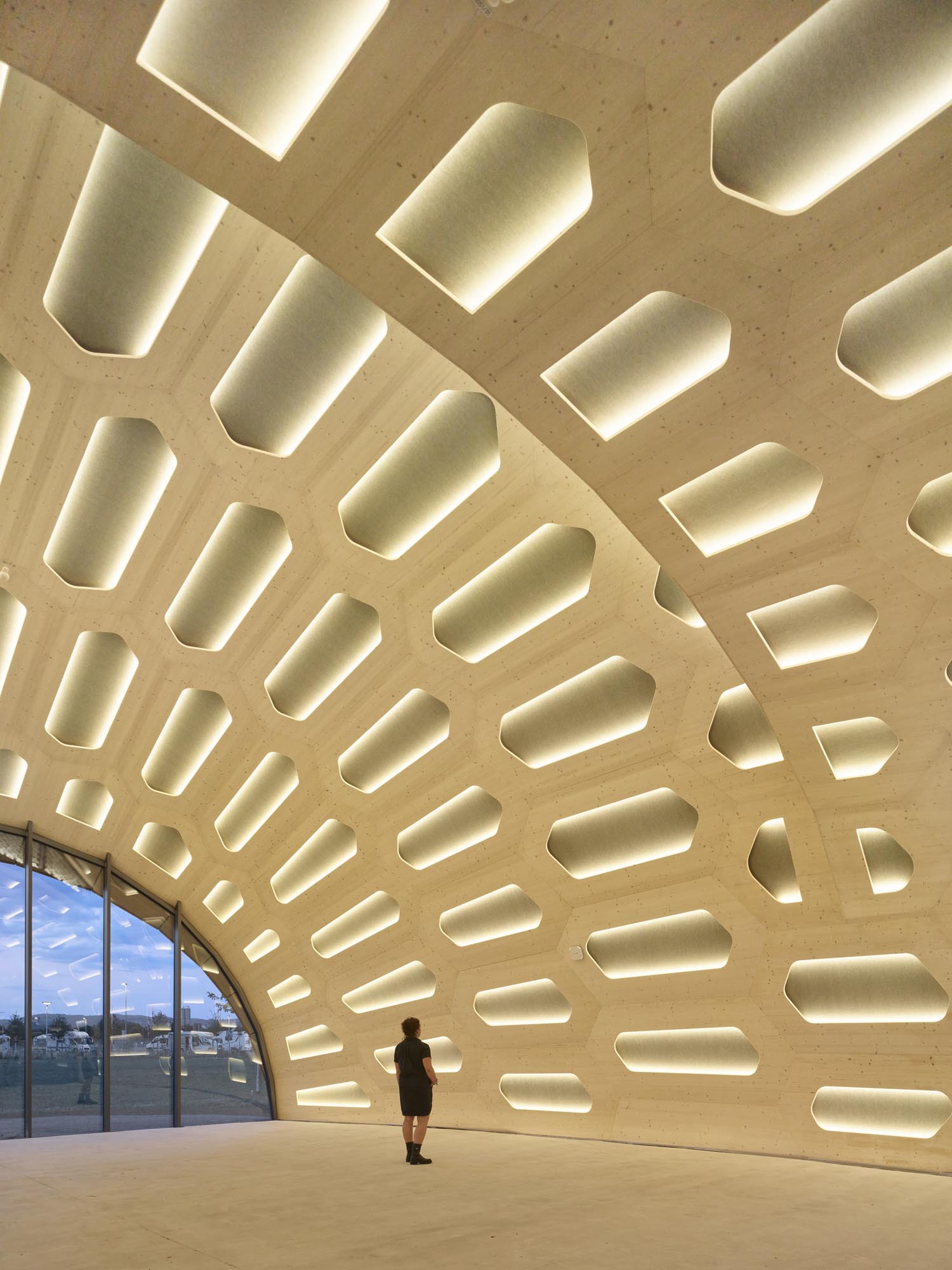 livMATS 仿生壳丨德国丨ICD,ITKE University of Stuttgart-25