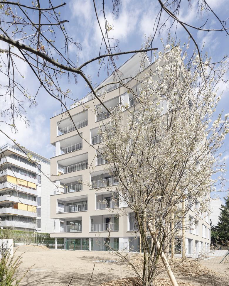 木结构房屋建设丨瑞士丨GiovanoliMozer architectes-9