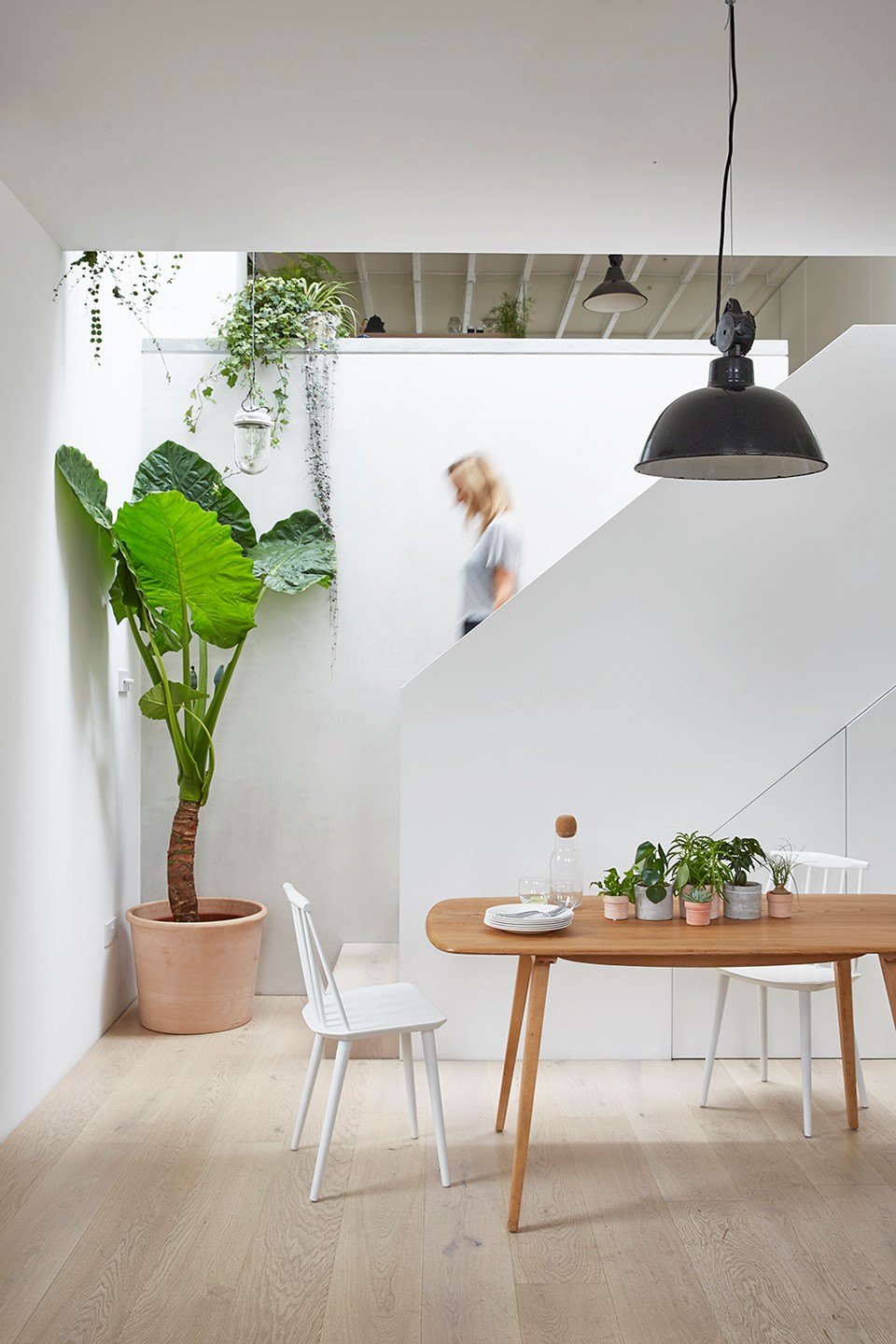 Mews住宅，伦敦 / HUTCH-13