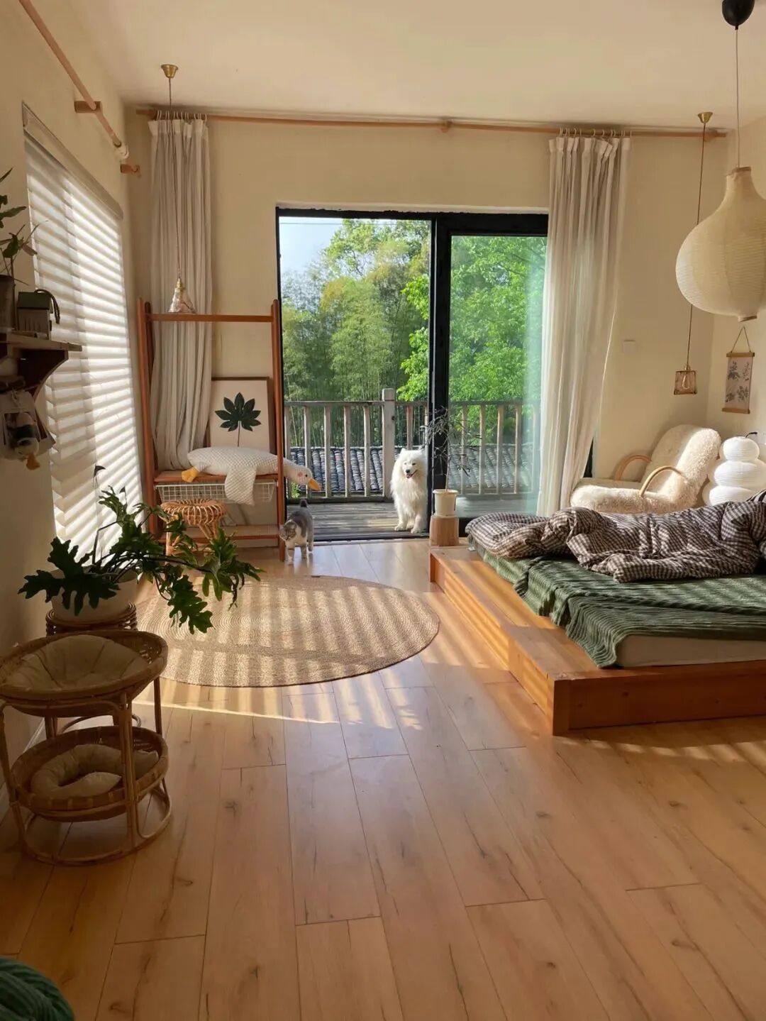 不听劝！这位女白领非要全款买下小洋楼，还把院子改成卧室，网友：你是懂生活的！-55