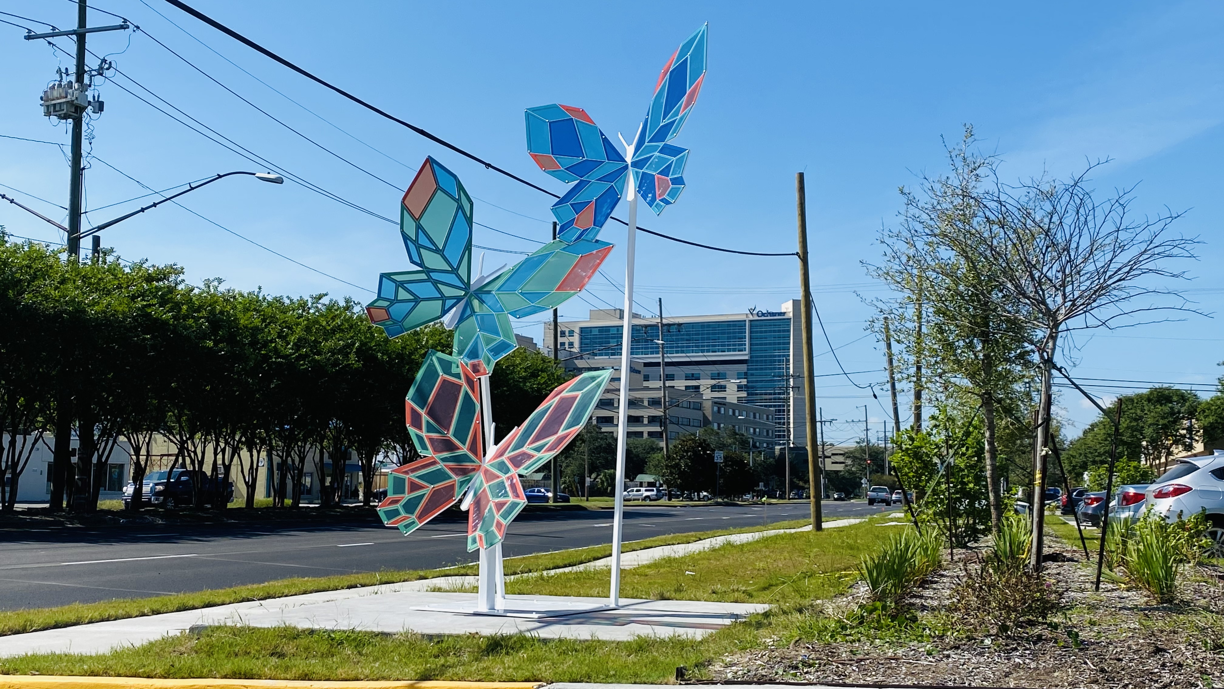 Butterflies - Ochsner Medical 2021-2