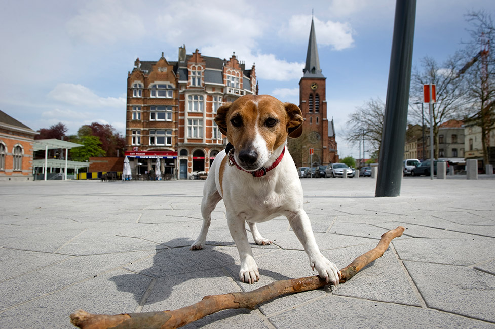 梅西耶枢机广场-26