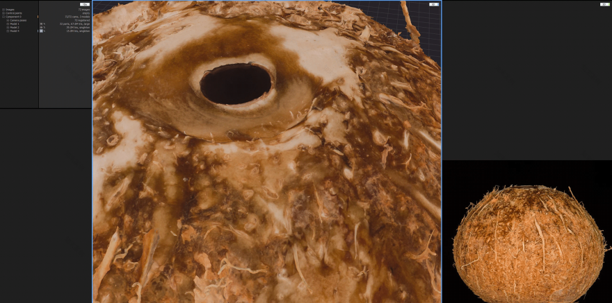 Coconut Fruit 03(3D椰子水果模型项目)-7