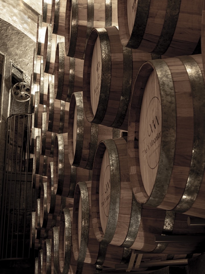 沈阳The X Macallan酒吧丨中国沈阳丨浆果设计研究所-89