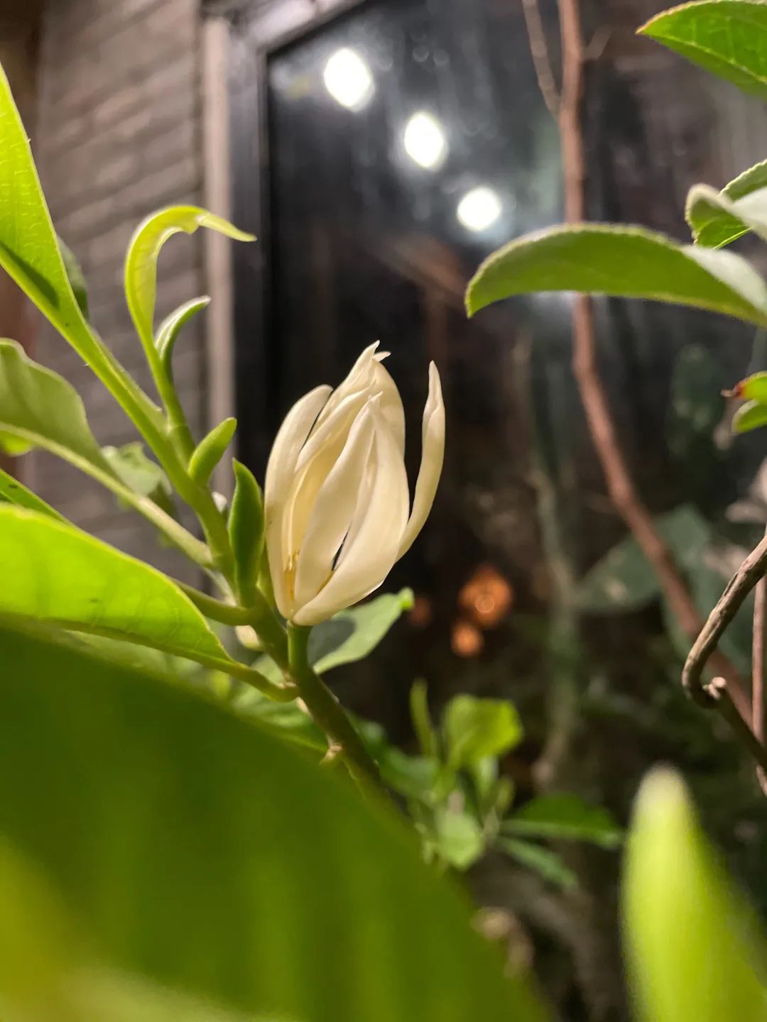 绿意盎然之家 · 北京四合院改造设计丨中国北京-90