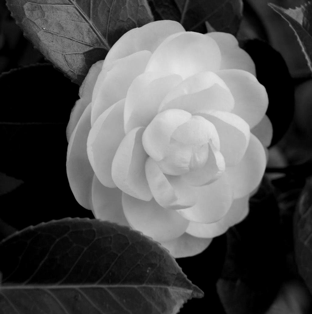 御江台1号·蝶漫华度 别墅豪宅丨中国南昌丨OPS观致设计-92