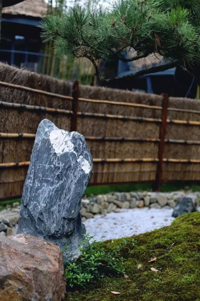 两个小女生，造了一间全镇上最文艺的花房，从此与花草为伴-147