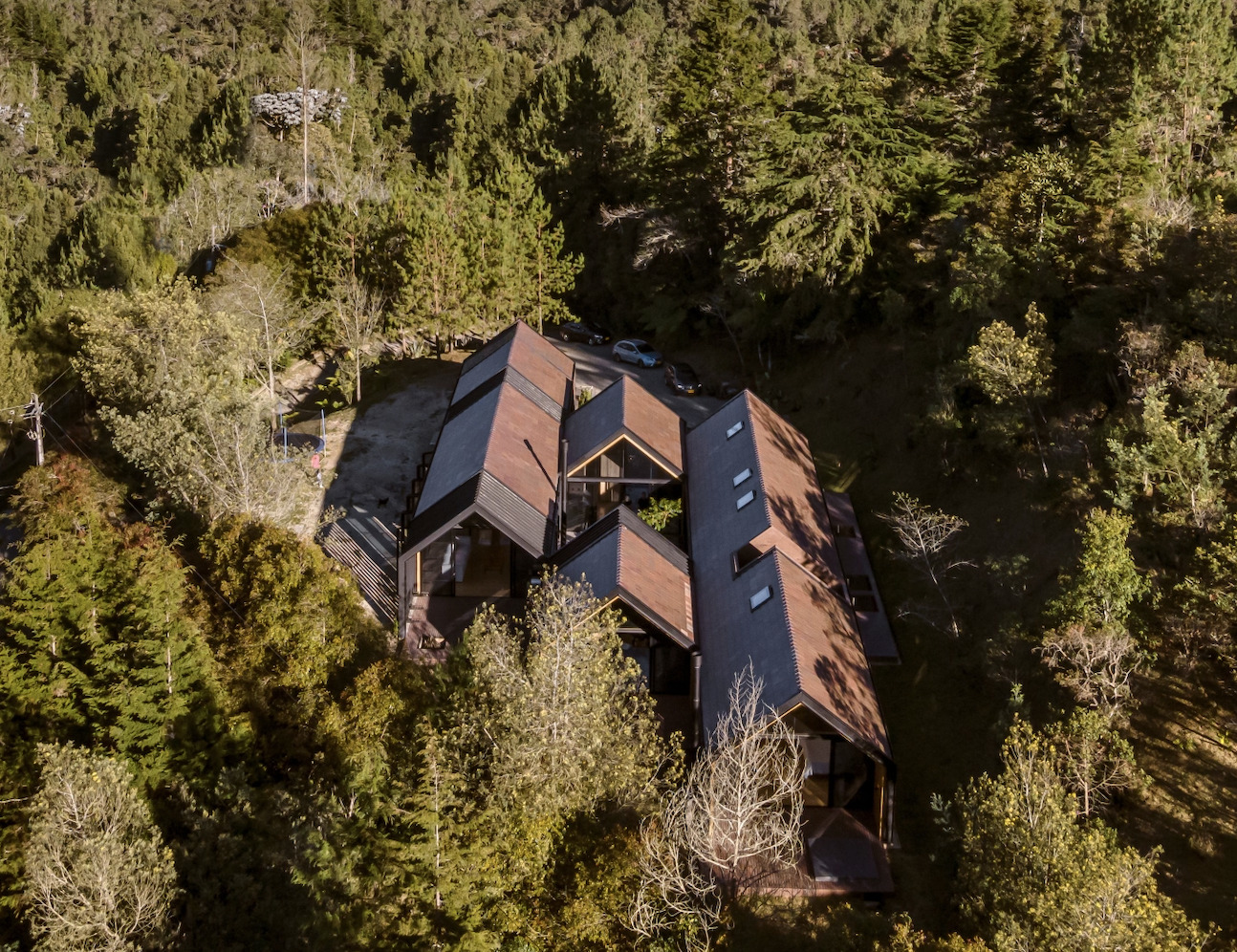 哥伦比亚 OT House丨DARP (De Arquitectura y Paisaje)-10