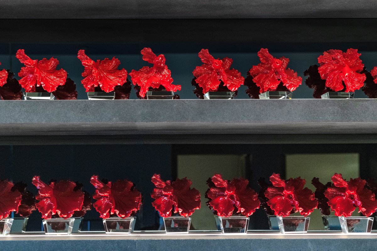 H SKIN CARE 宸山皮肤管理中心丨中国深圳丨黄永才-38