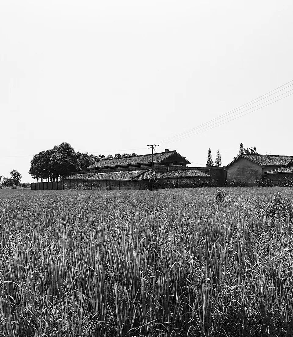 安仁华侨城南岸美村乡村客厅改造设计-10