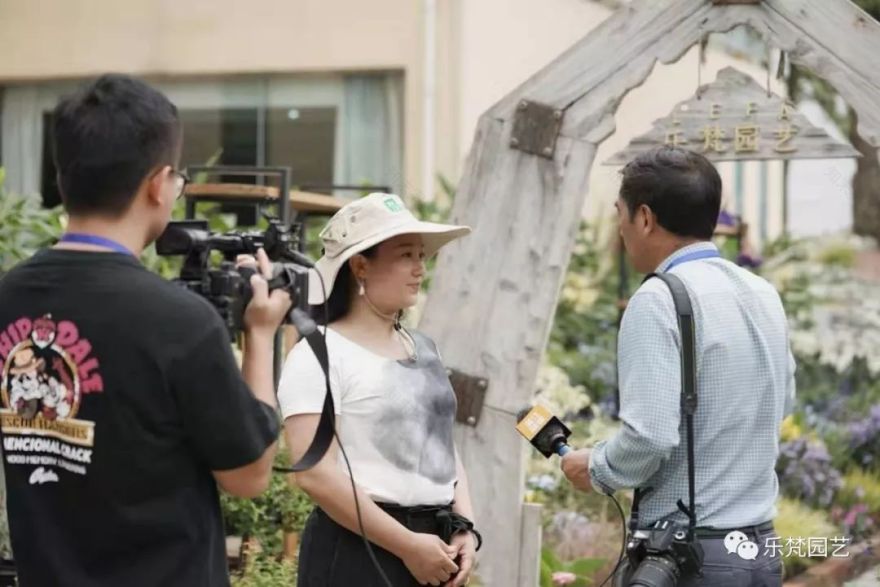 乐梵园艺打造成都花木博览会快闪花园,惊艳全场-108