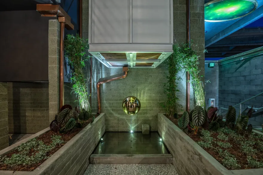 达芙妮·麦卡洛 · 圣地亚哥丨美国-27