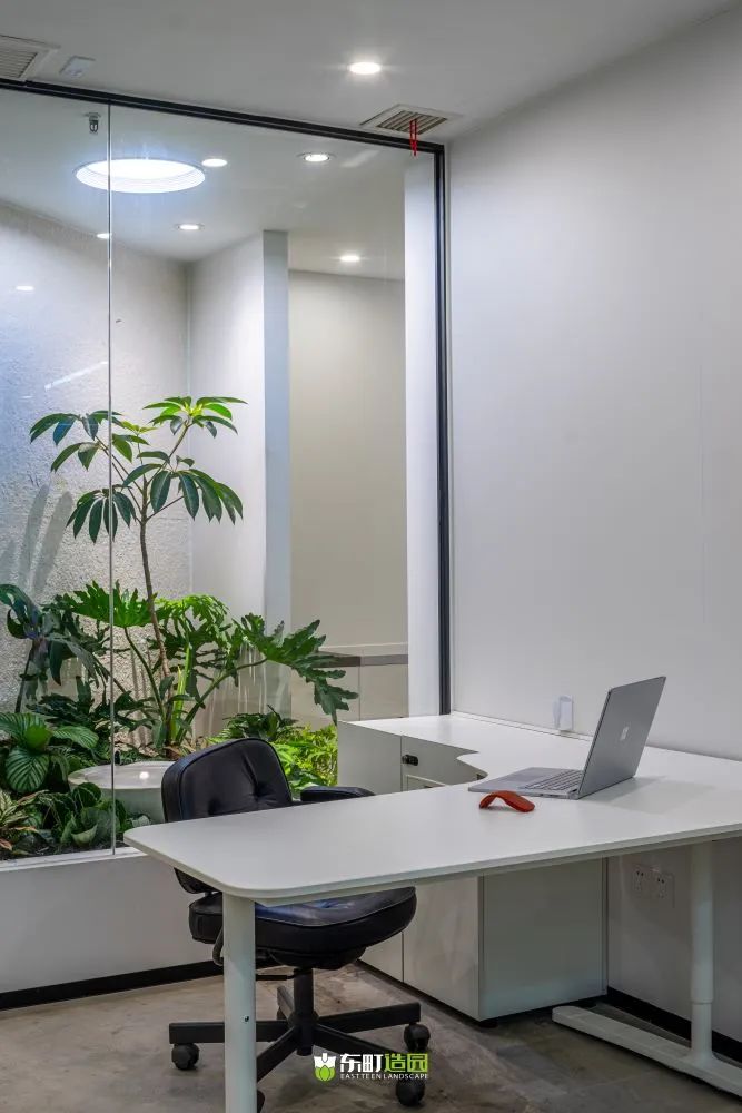 町室丨中国上海丨朱伟国（Mark.Zhu）-15