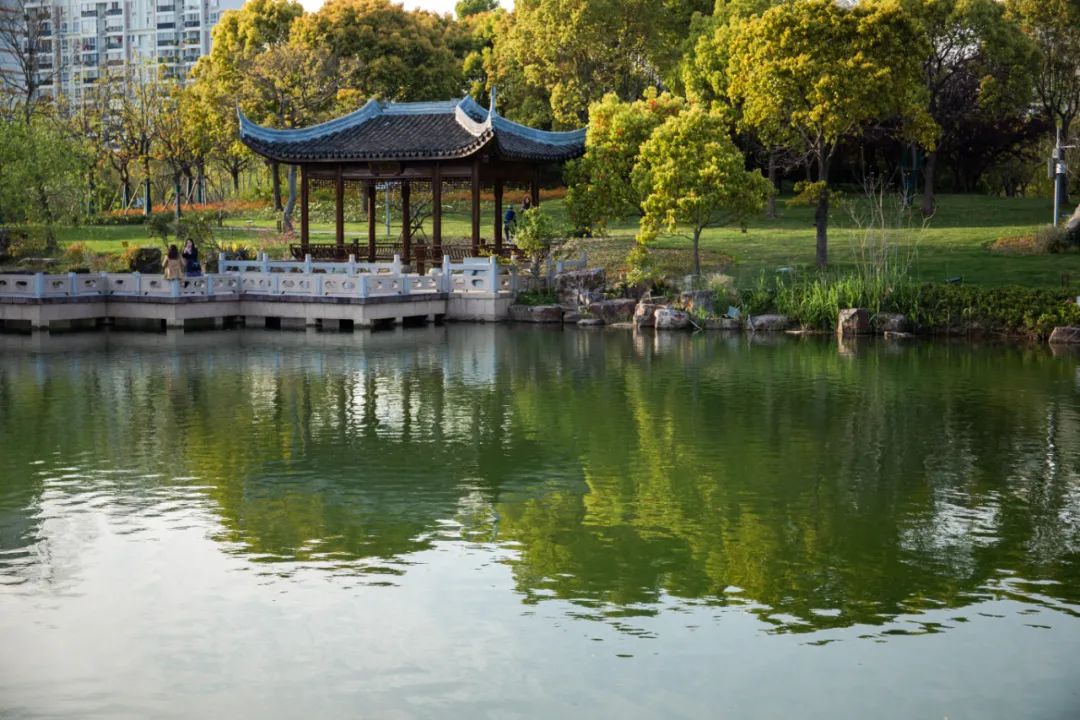 一尺花园｜浦东牡丹园里的老宅咖啡馆-32