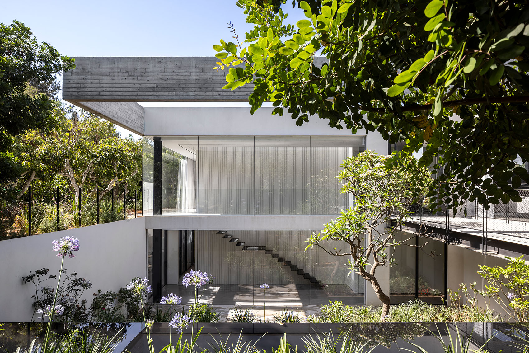 牛油果种植园中的现代家庭城堡·Z3 住宅丨Raz Melamed Architecture-98